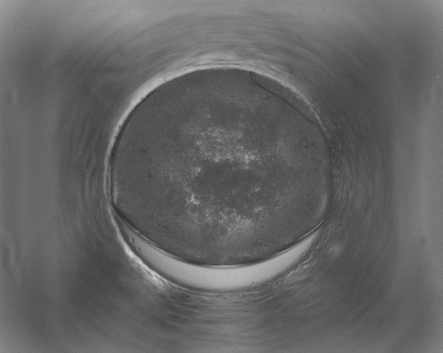 X0000056381527200509091702