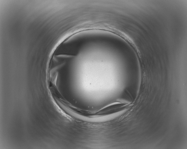 X0000056381528200509091702