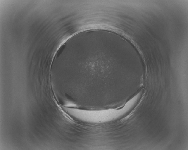 X0000056381529200509091702