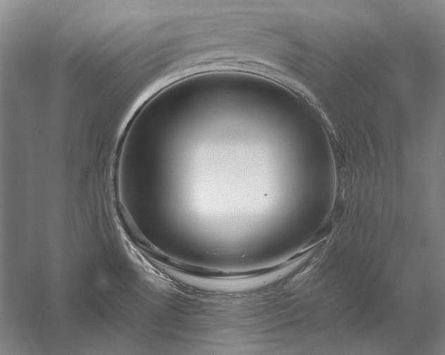 X0000056381530200509091702