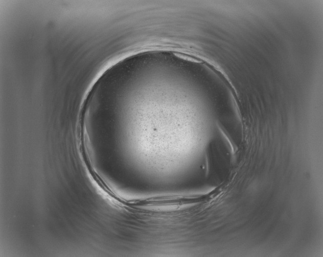 X0000056381531200509091702