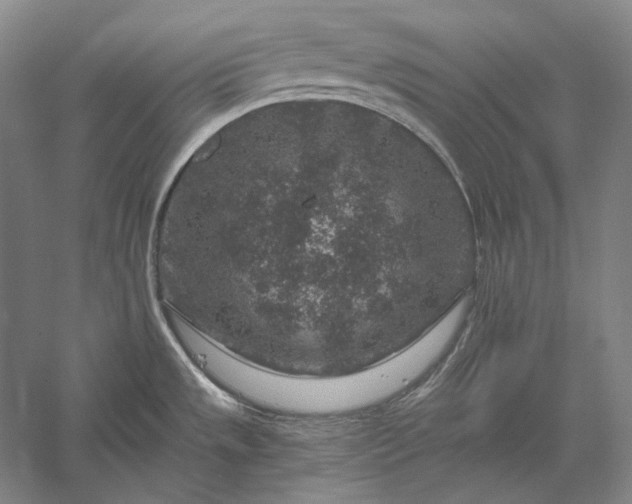 X0000056381533200509091702