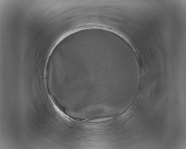 X0000056381535200509091702