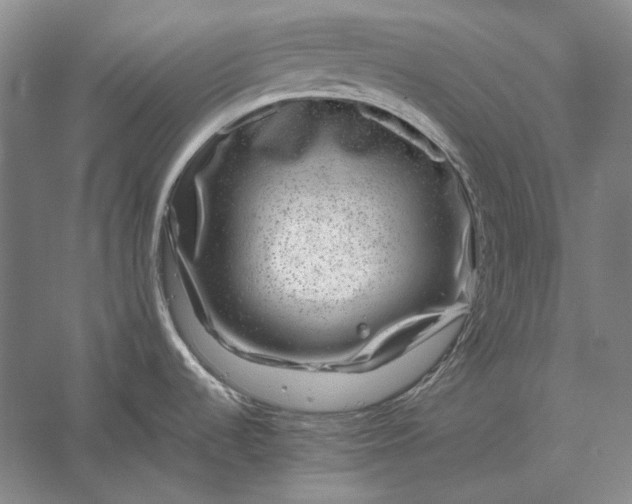 X0000056381536200509091702