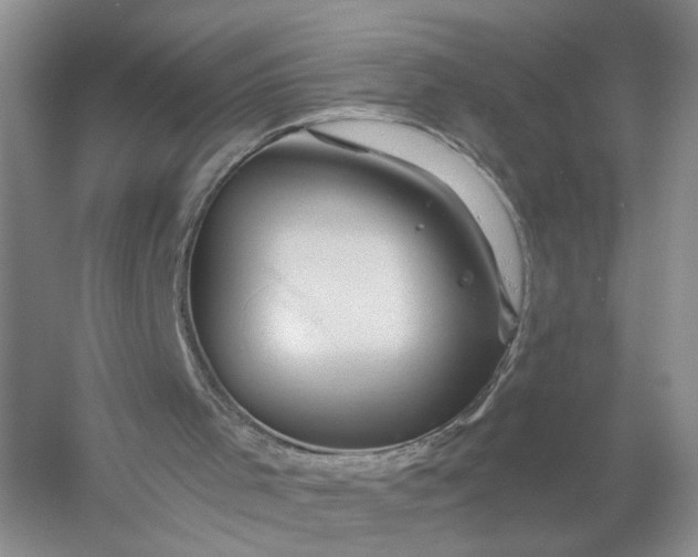 X0000056380001200509161933