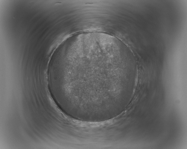 X0000056380002200509161933