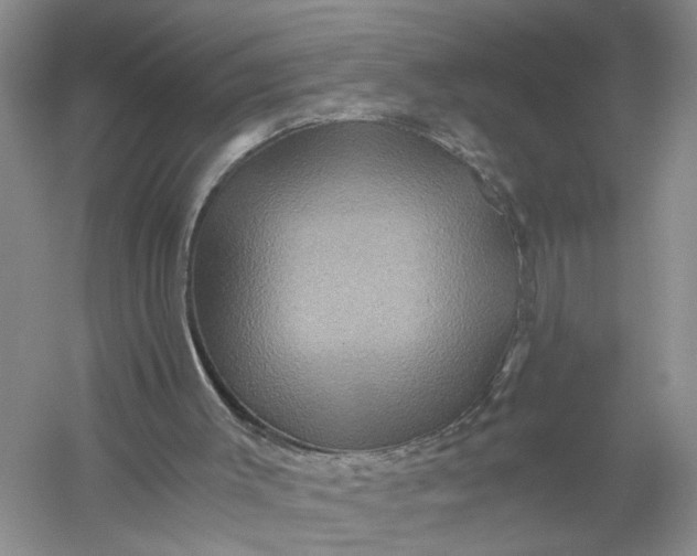 X0000056380003200509161933