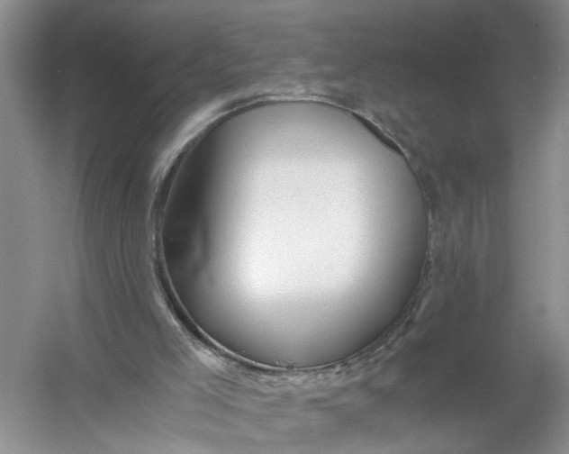 X0000056380005200509161933