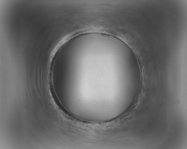 X0000056380007200509161933