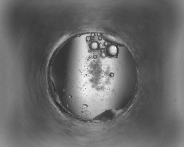 X0000056380008200509161933