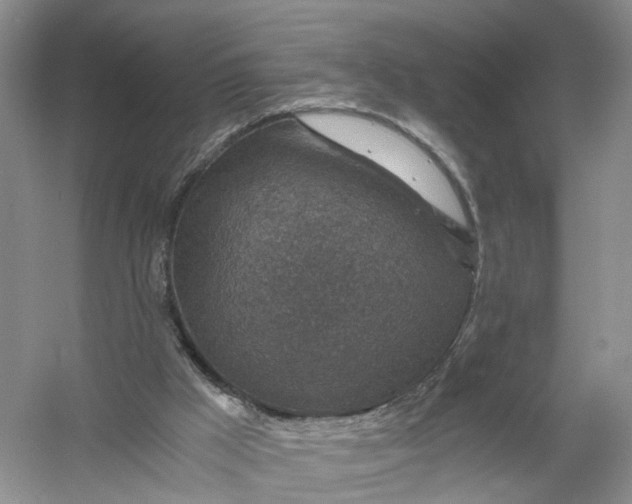 X0000056380009200509161933