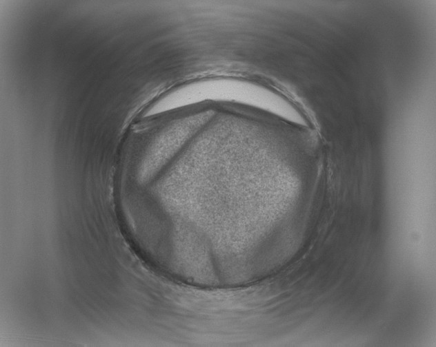 X0000056380010200509161933