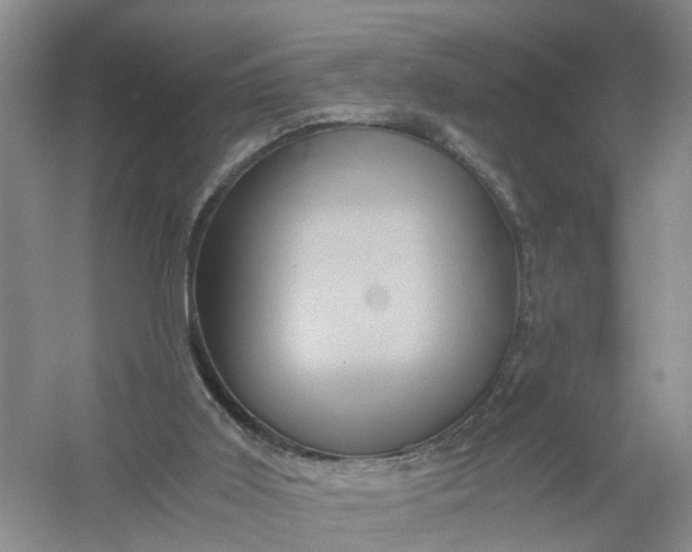 X0000056380011200509161933