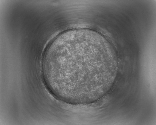 X0000056380012200509161933