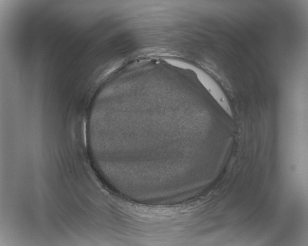 X0000056380014200509161933