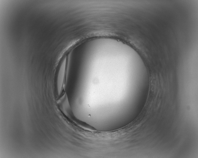 X0000056380015200509161933