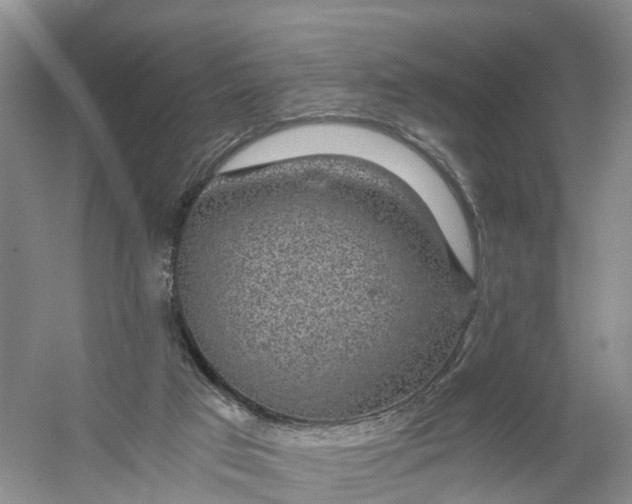 X0000056380017200509161933