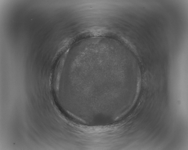 X0000056380018200509161933