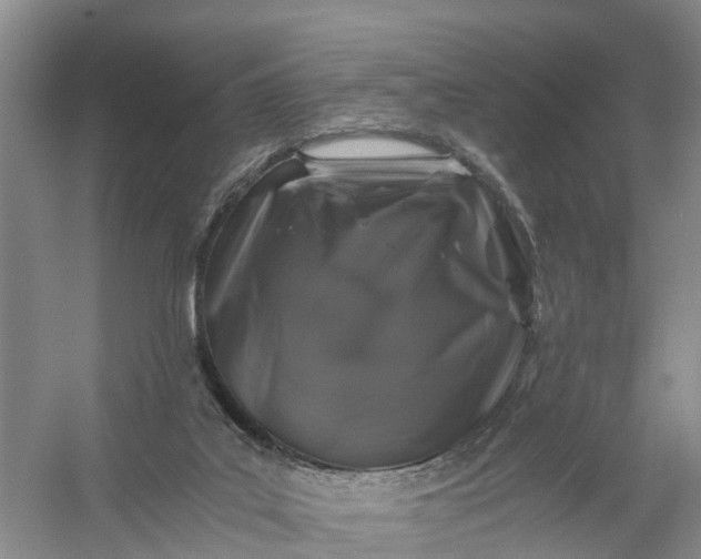 X0000056380019200509161933