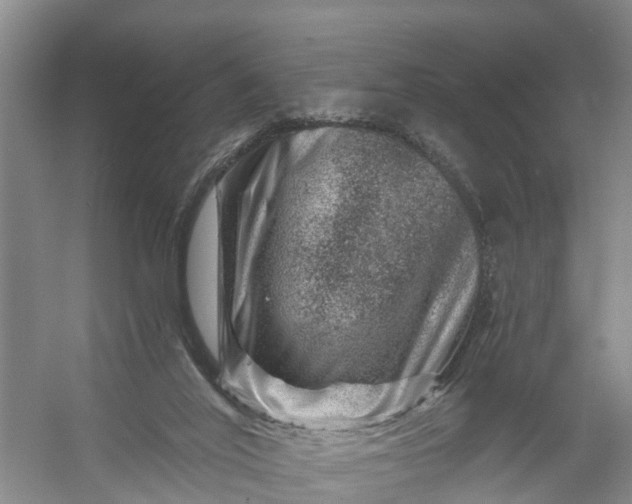 X0000056380020200509161933