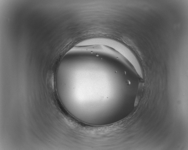 X0000056380021200509161933