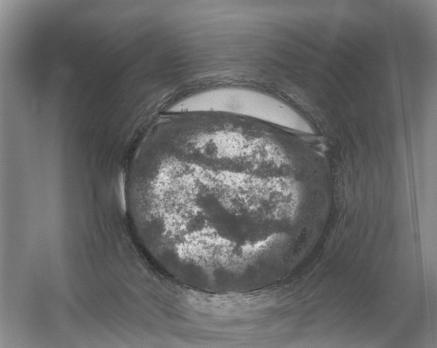 X0000056380022200509161933