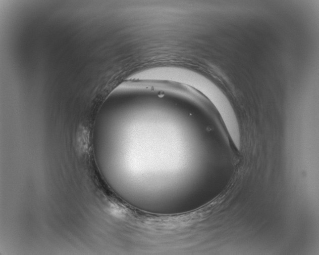 X0000056380025200509161933