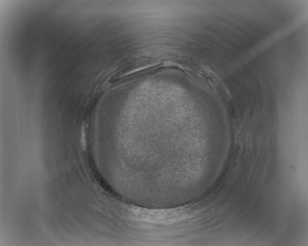 X0000056380026200509161933