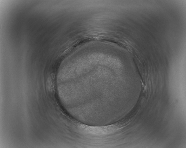 X0000056380030200509161933