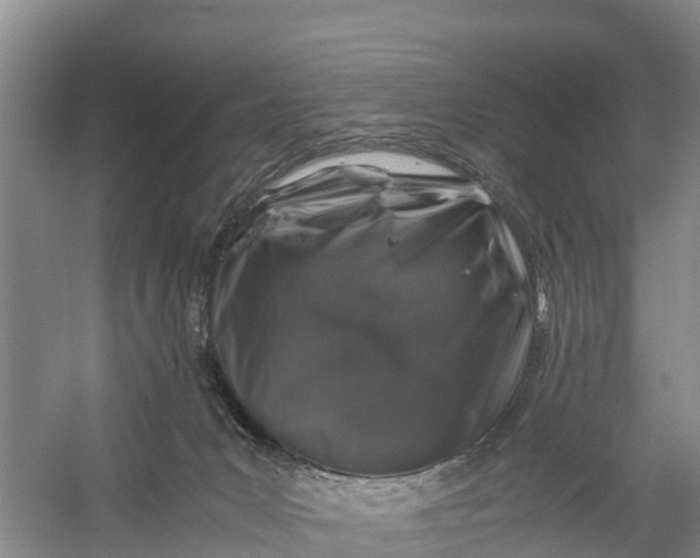 X0000056380031200509161933