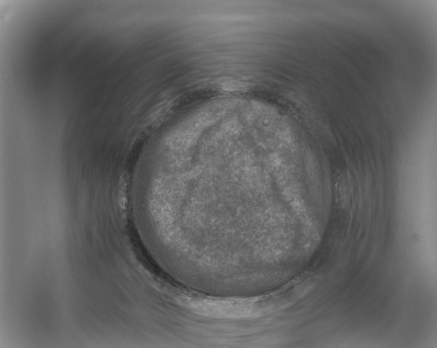 X0000056380032200509161933