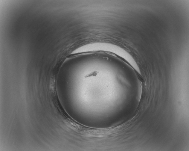 X0000056380033200509161933