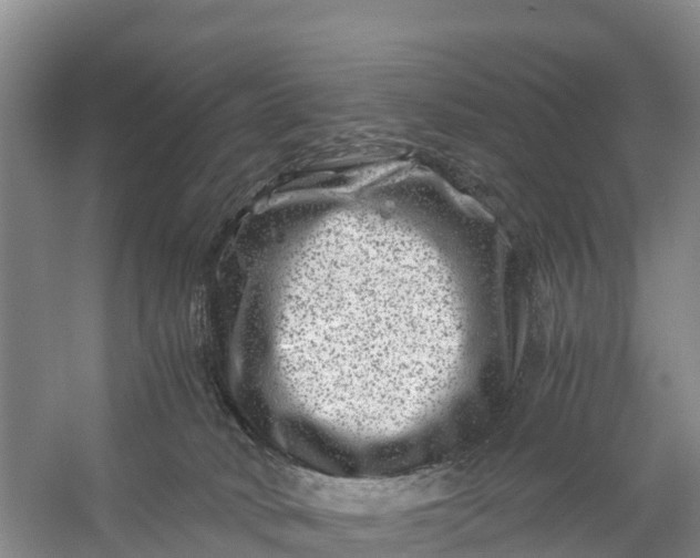 X0000056380034200509161933