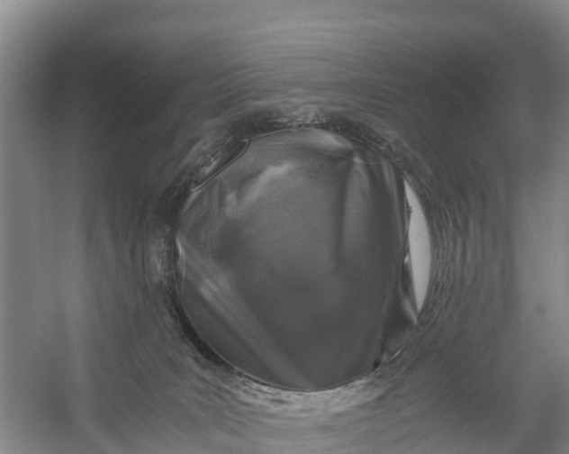 X0000056380035200509161933