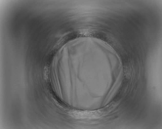 X0000056380036200509161933