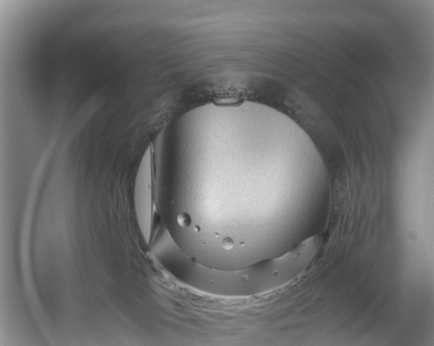 X0000056380037200509161933