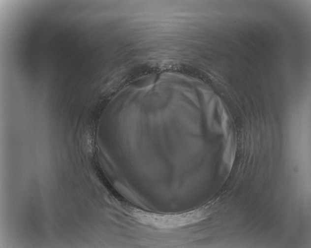 X0000056380039200509161933