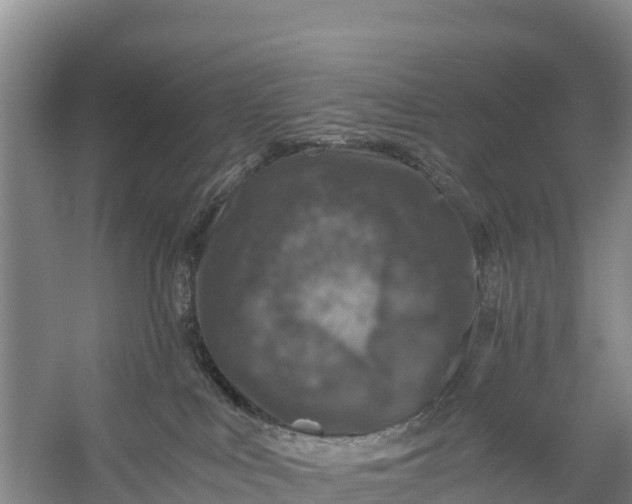 X0000056380043200509161933