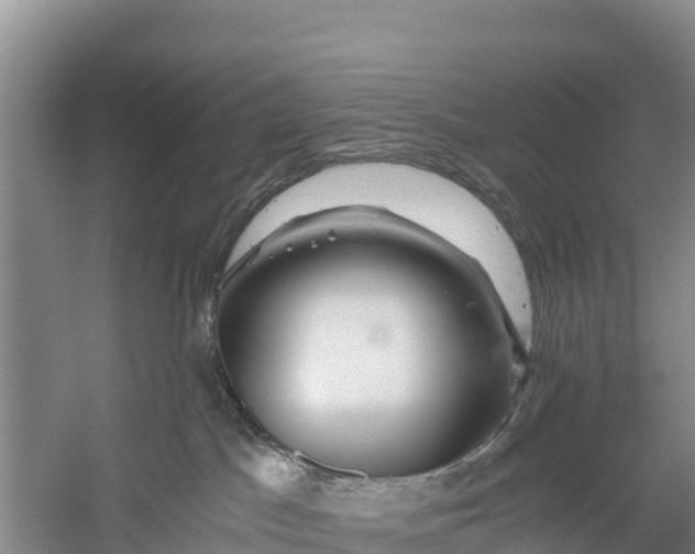 X0000056380045200509161933