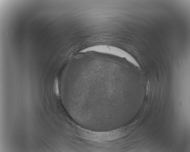 X0000056380046200509161933