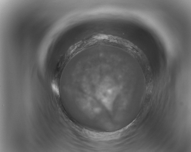 X0000056380047200509161933