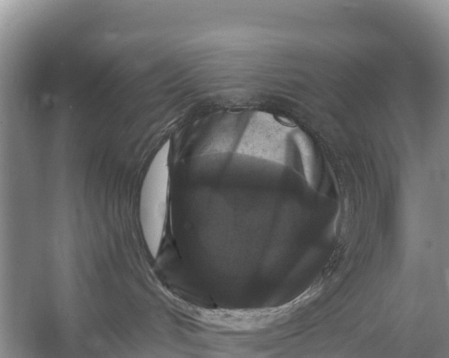 X0000056380048200509161933