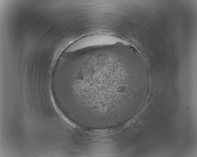 X0000056380049200509161932