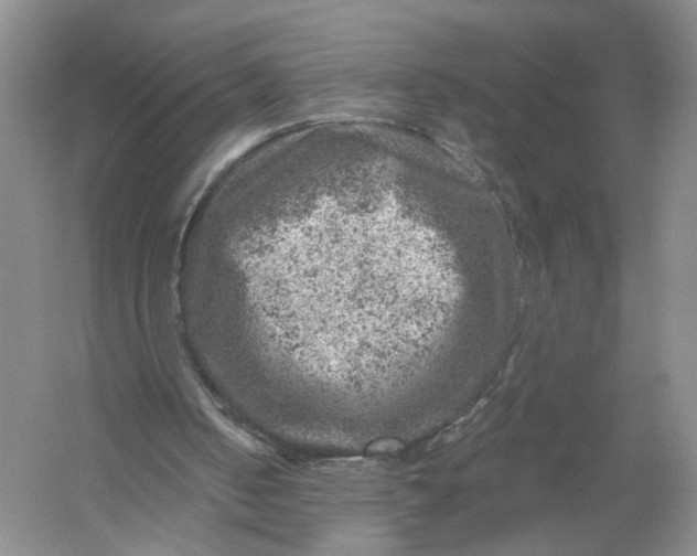 X0000056380050200509161932