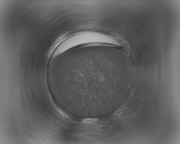 X0000056380051200509161932