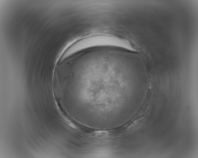 X0000056380052200509161932