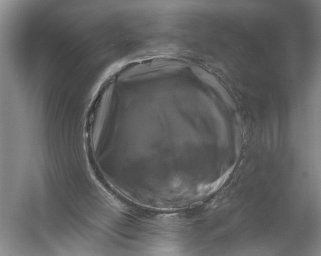 X0000056380054200509161932