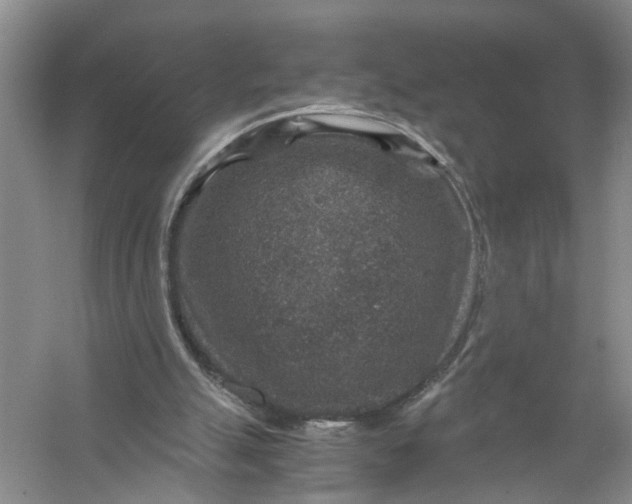 X0000056380055200509161932