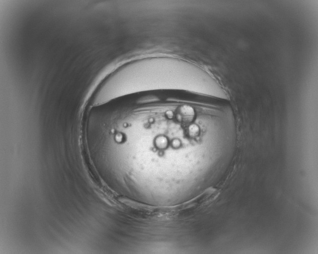 X0000056380056200509161932