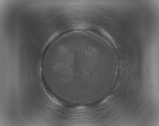 X0000056380059200509161932